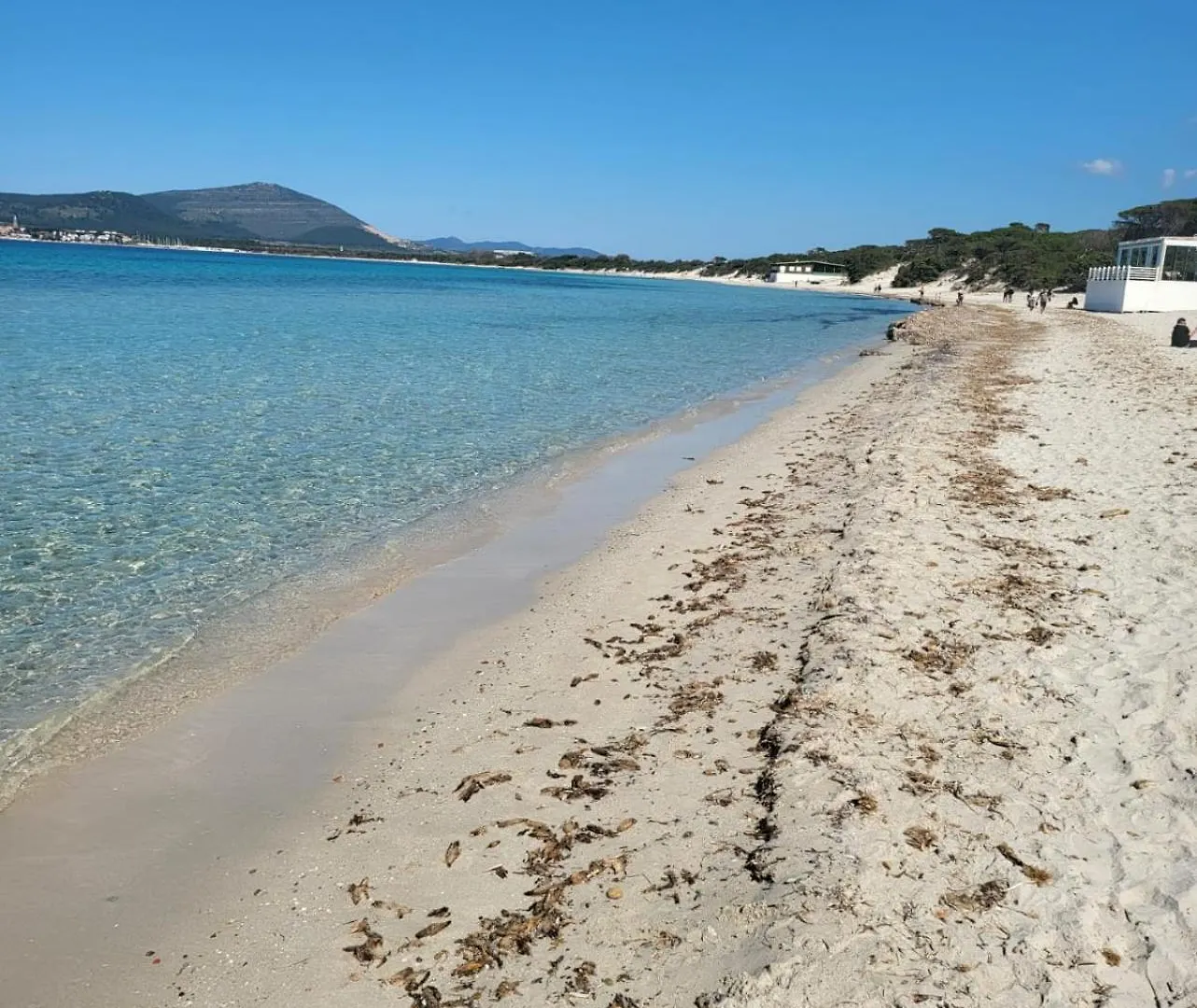Nocleg ze śniadaniem Riu B&B Alghero Włochy